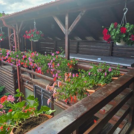 투르다 Casa Baciu 빌라 외부 사진