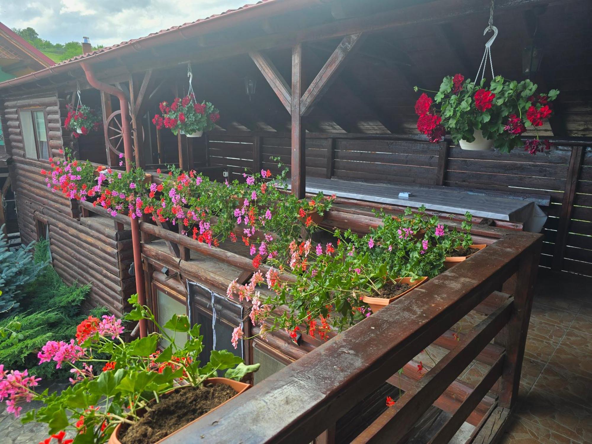 투르다 Casa Baciu 빌라 외부 사진