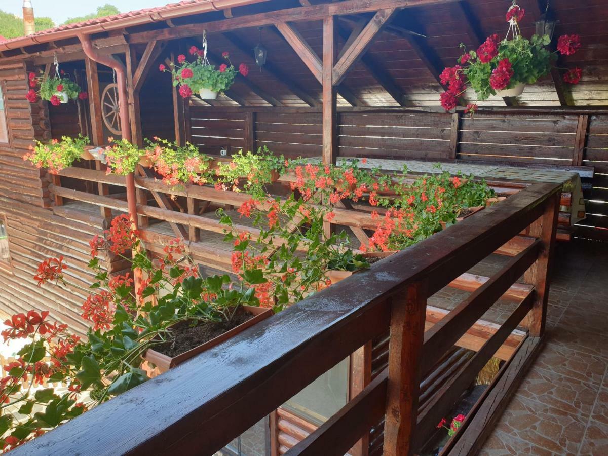 투르다 Casa Baciu 빌라 외부 사진